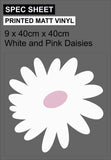 DAISIES - LARGE PACK