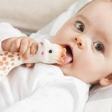 ur Baby's Teething Needs