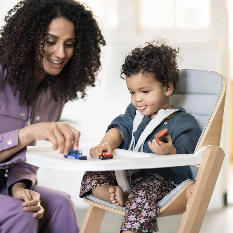 High Chairs and Feeding Chairs