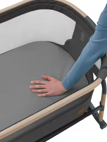 Iora co-sleeper