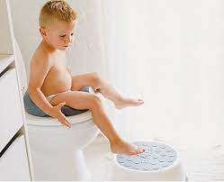 Bumbo step n potty potty training