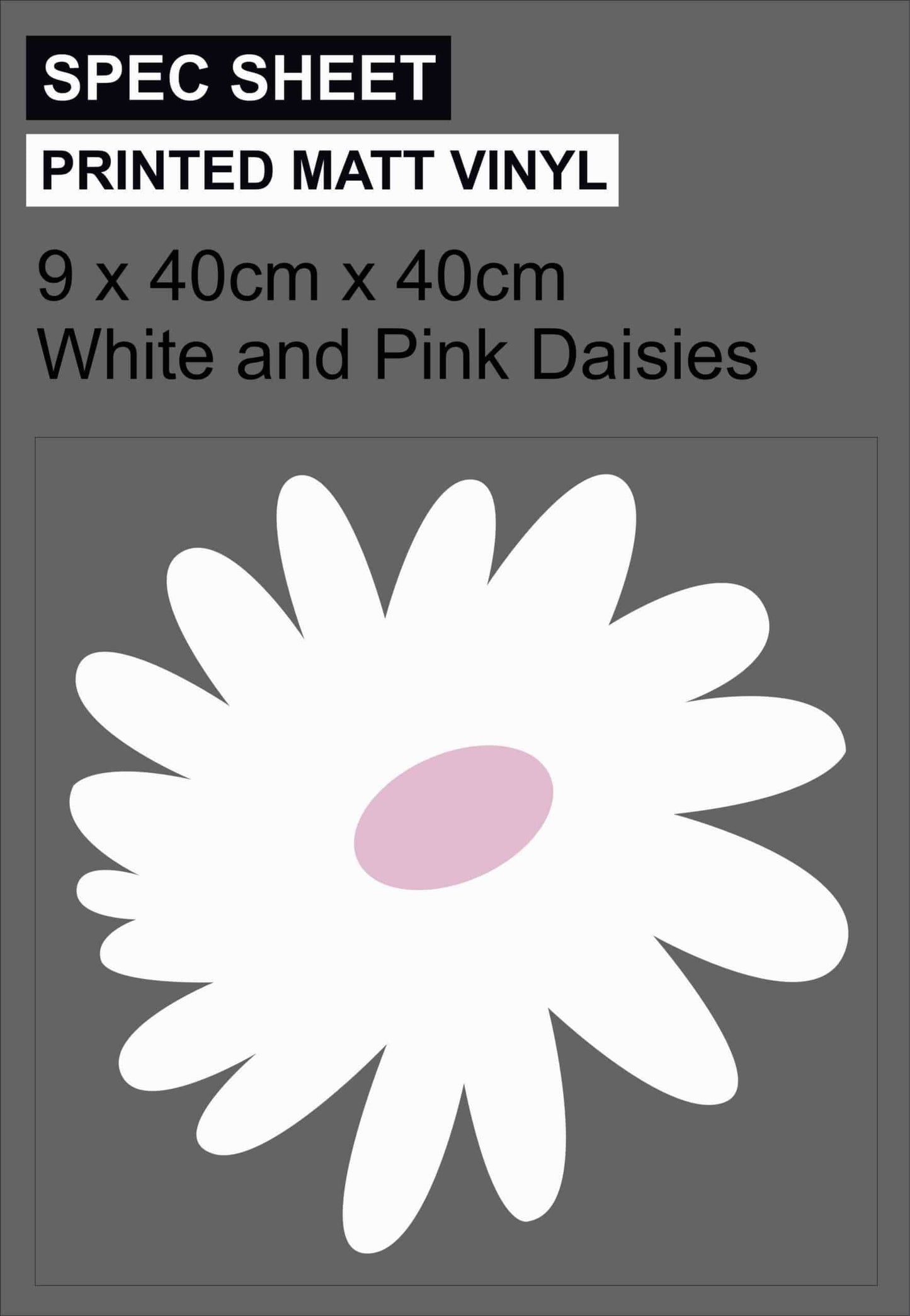 Daisies -large pack Decor