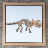 DINOSAUR FOSSIL PLAQUES PACK OF 3
