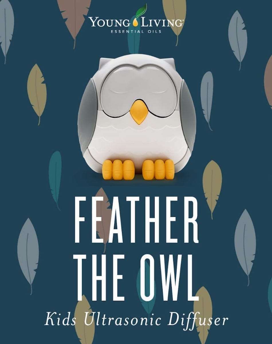 Feather the owl Accessories