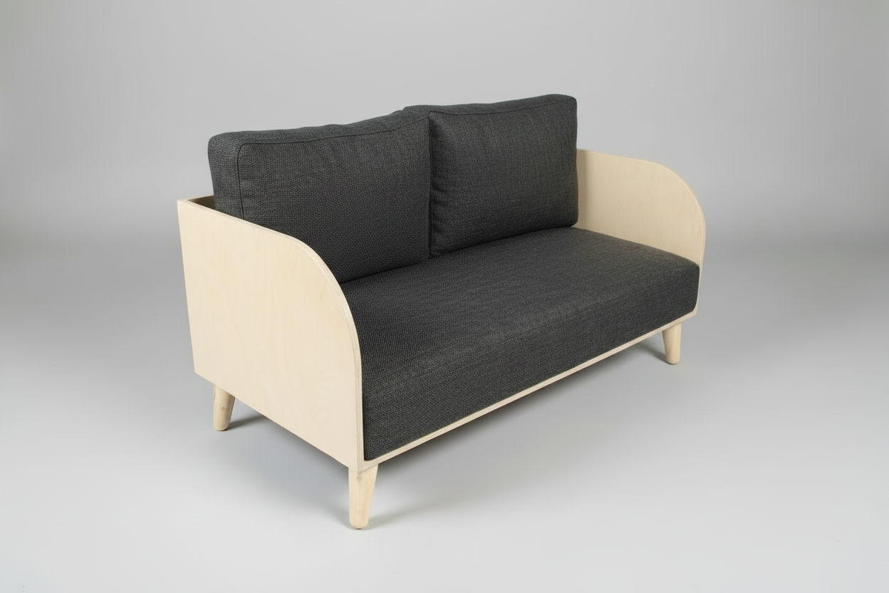 Sofa with dark gray cushions on a light gray background