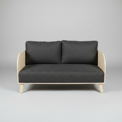Gray sofa with beige frame on a gray background