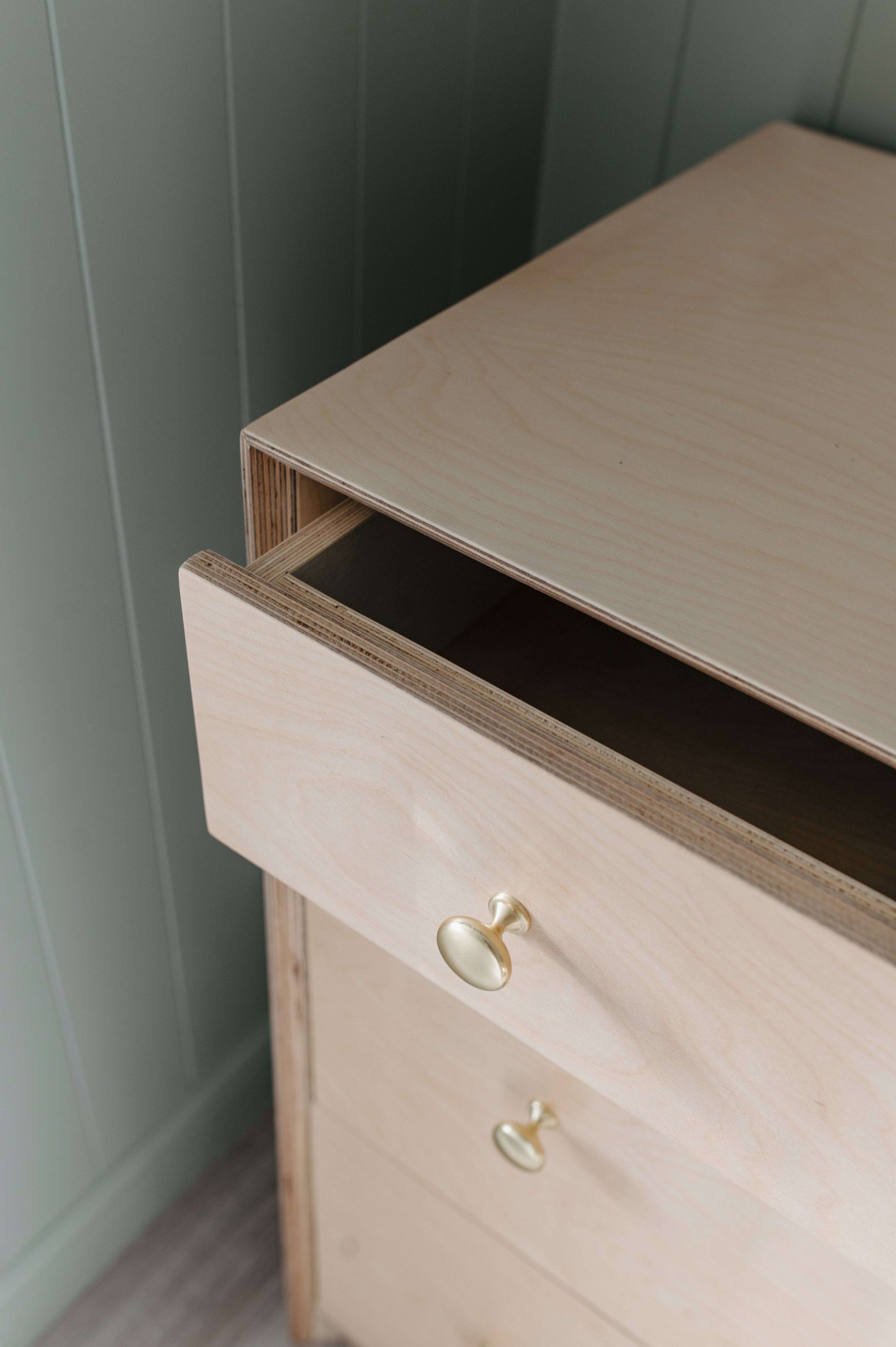 Lora Compactum Compactum