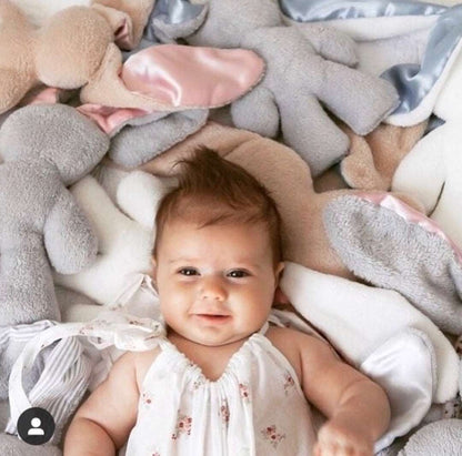 Snuggle Bunny Toys
