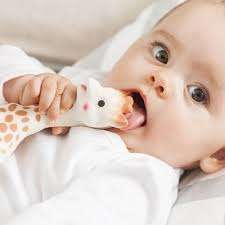 Sophie la girafe teether