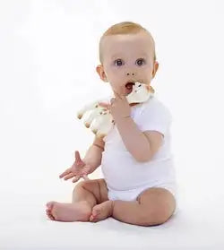 Sophie la girafe teether