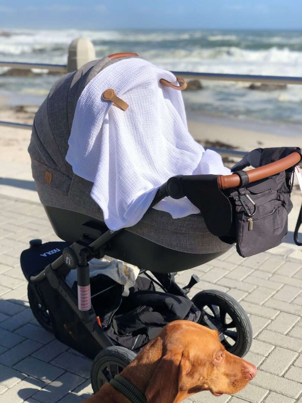 The Stella Clip Accessories